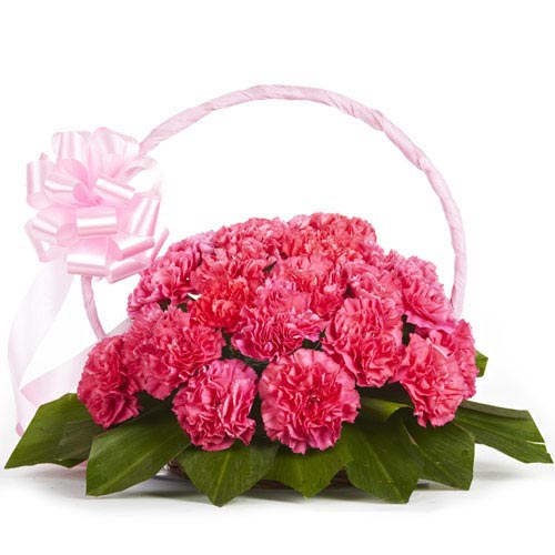 Pink Carnations Basket Pink Carnations Basket